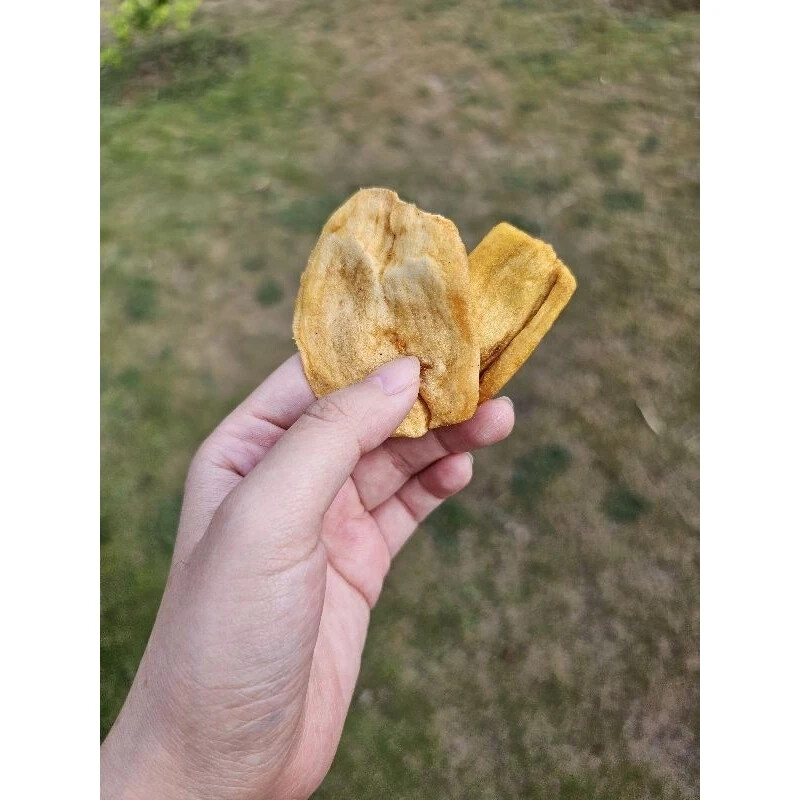 Indonesian Jackfruit chips 200 gr gallery