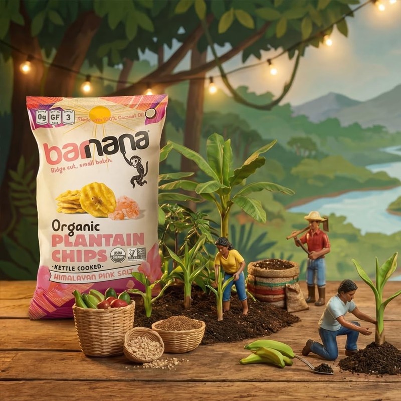 Organic Plantain Chips, Himalayan Pink Salt, Healthy Snack Made With 100% Coc... gallery