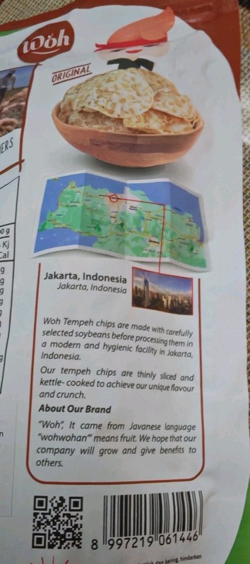 Woh Tempeh Chips Original 2x100g Bundle | Halal Indonesian Snack gallery