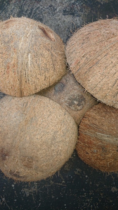 1kg COCONUT SHELL CHIPS ECO FRIENDLY 100% NATURAL PURE PRODUCT CEYLON gallery