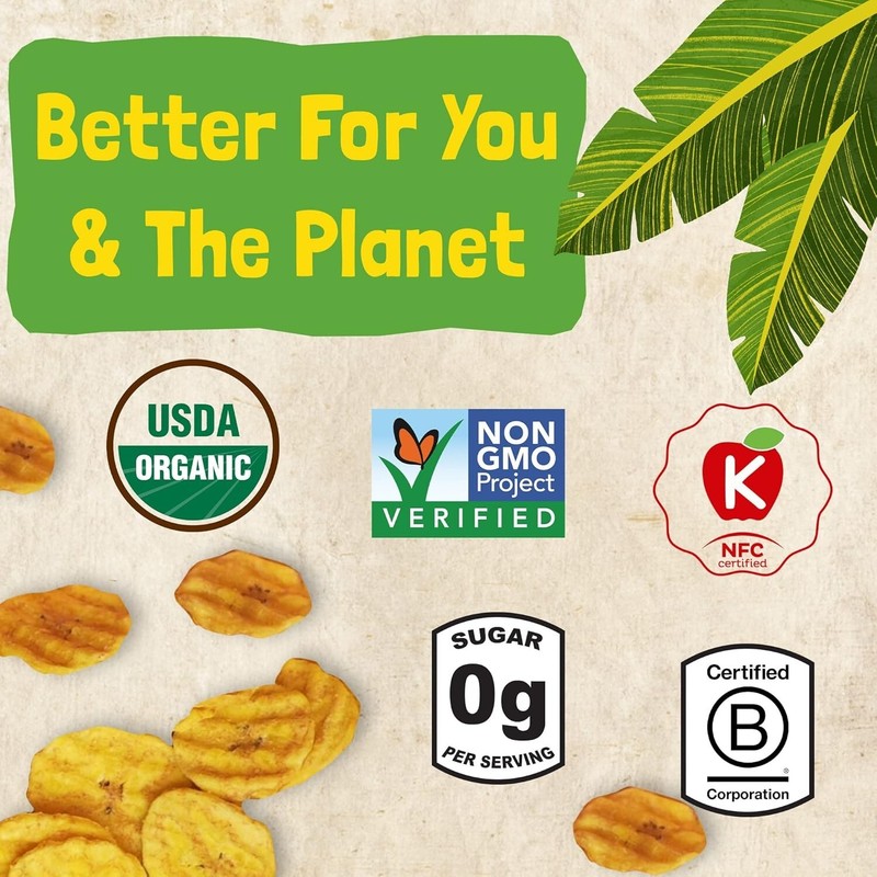 Paleo-Friendly Organic Plantain Chips: Healthy Snack with Himalayan Salt - 2 oz gallery