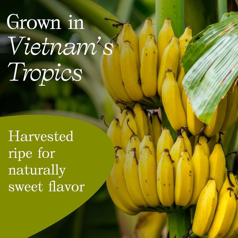 Dried Banana Chips, 8.8 oz Resealable Bag | Banana Chips Unsweetened, Dried F... gallery