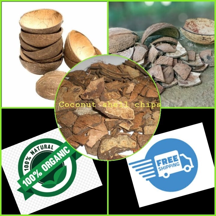 COCONUT SHELL CHIPS ECO FRIENDLY 100% NATURAL PURE PRODUCT CEYLON
