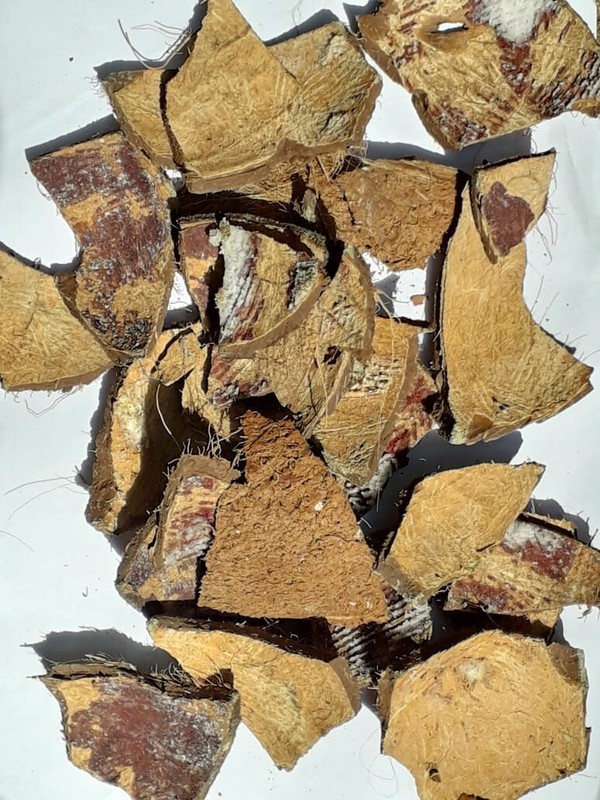 Ceylon Eco Friendly 100% Natural Pure Coconut Shell Chips 1kg(200g offer)